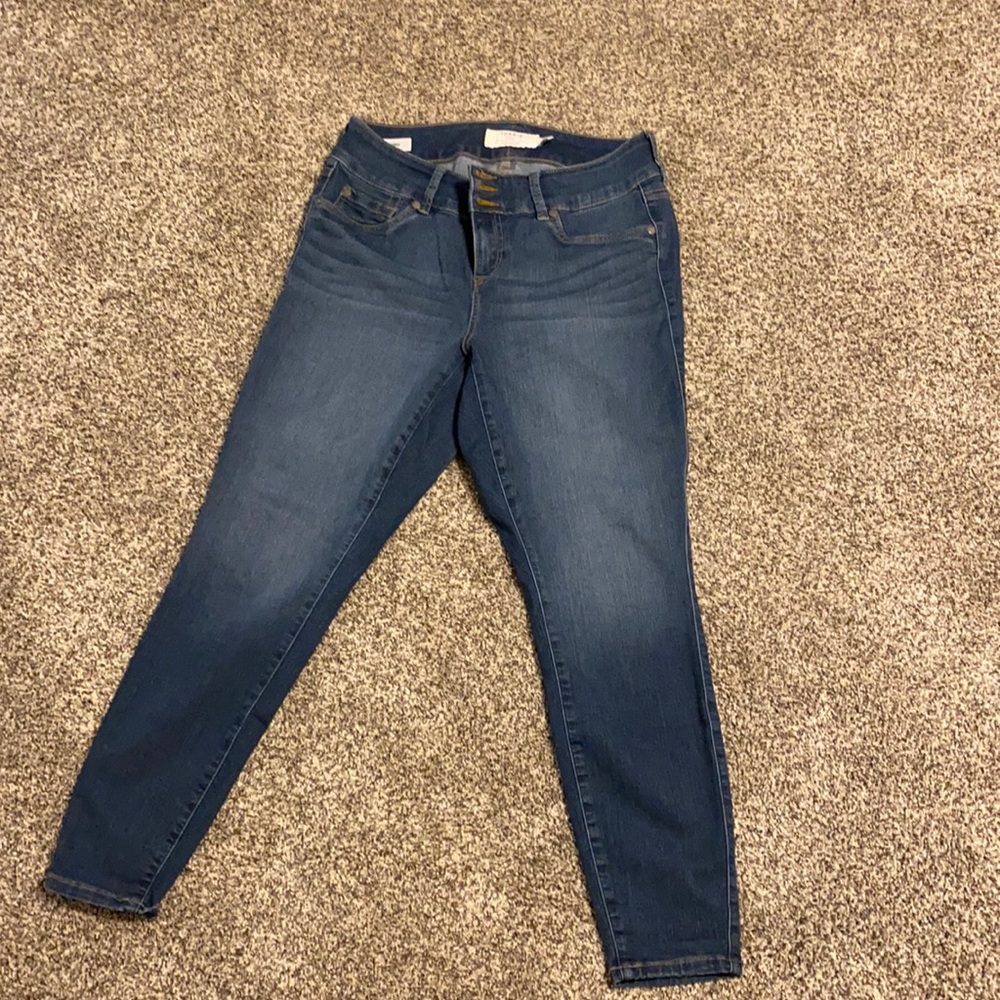 TORRID Jeggings